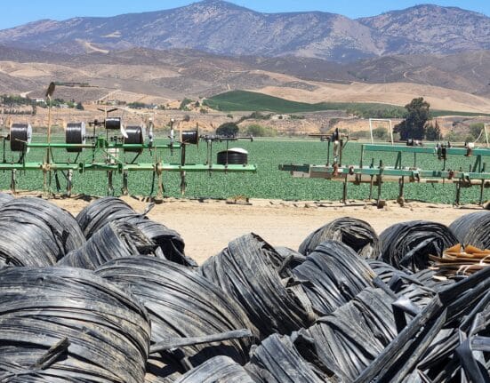 Learn how Ido Raanan leads the Re-Gen Program to recycle drip lines, reducing CO₂ and promoting sustainability in agriculture.