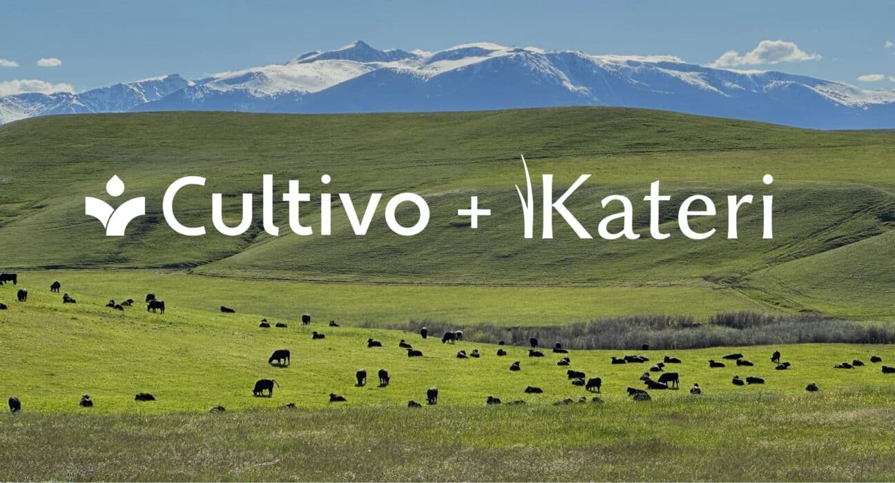 Cultivo acquires Kateri to enhance its carbon grasslands project capabilities, aiming for over 9 million tonnes CO₂e removal.