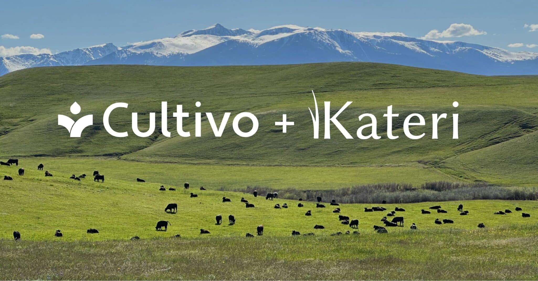 Cultivo acquires Kateri to enhance its carbon grasslands project capabilities, aiming for over 9 million tonnes CO₂e removal.