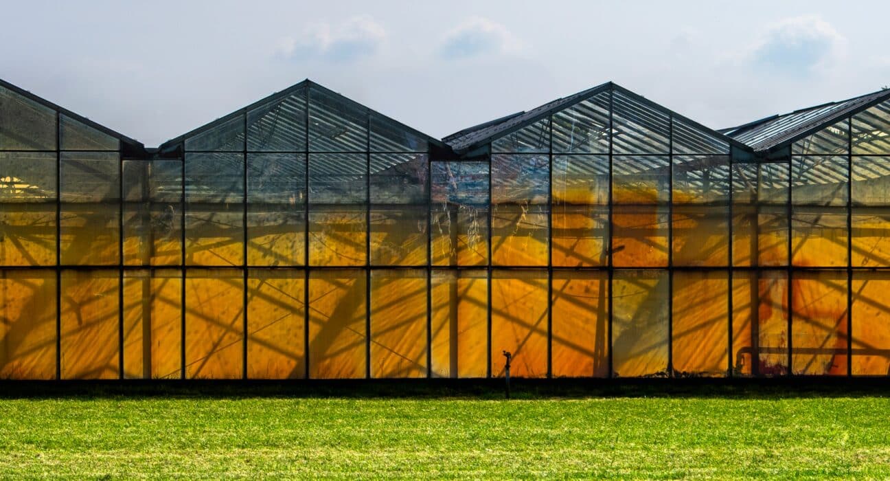 Explore indoor farming innovation trends in 2025, featuring automation, AI, and digital tools to enhance operational efficiency.