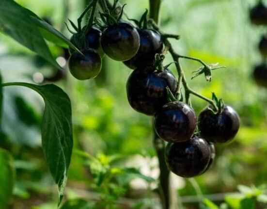 UKUAT has raised concerns over a planned 94% increase in electricity network standing charges from April 2026.