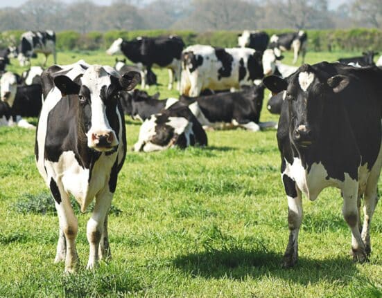 Explore the booming livestock sector as funding hits $238.9 million in 2025 with a focus on innovative livestock technologies.