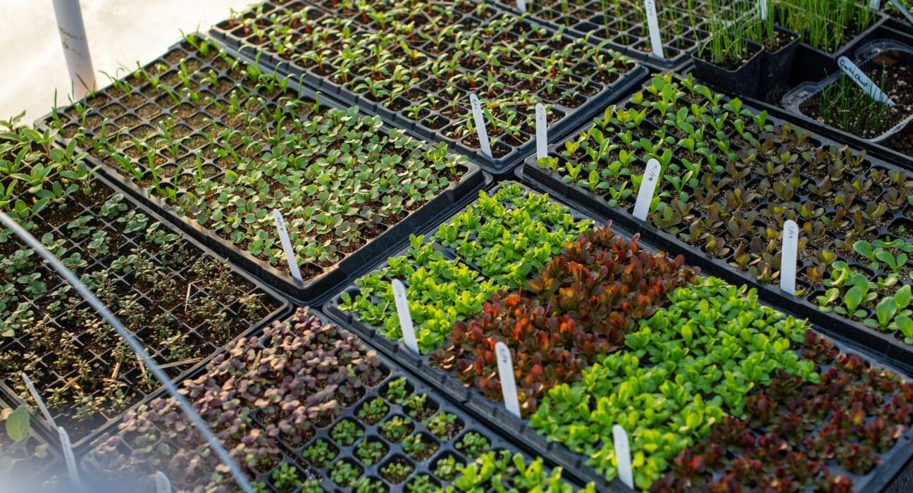 Partnerships were the most frequent form of strategic activity recorded across the indoor farming ecosystem in 2025.