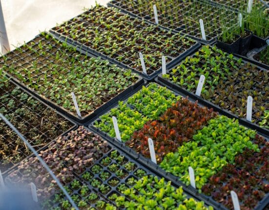 Partnerships were the most frequent form of strategic activity recorded across the indoor farming ecosystem in 2025.