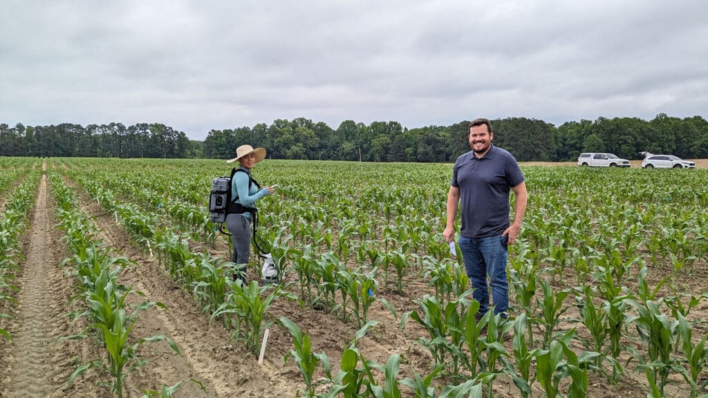 NC State University researchers completed a three-year study on nitrogen-related emissions from corn fields in North Carolina.