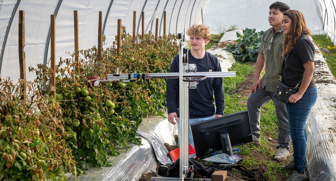 NC State University researchers are developing robotic systems to assist with labor-intensive vegetable production tasks.