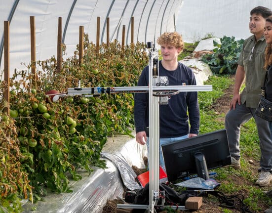 NC State University researchers are developing robotic systems to assist with labor-intensive vegetable production tasks.