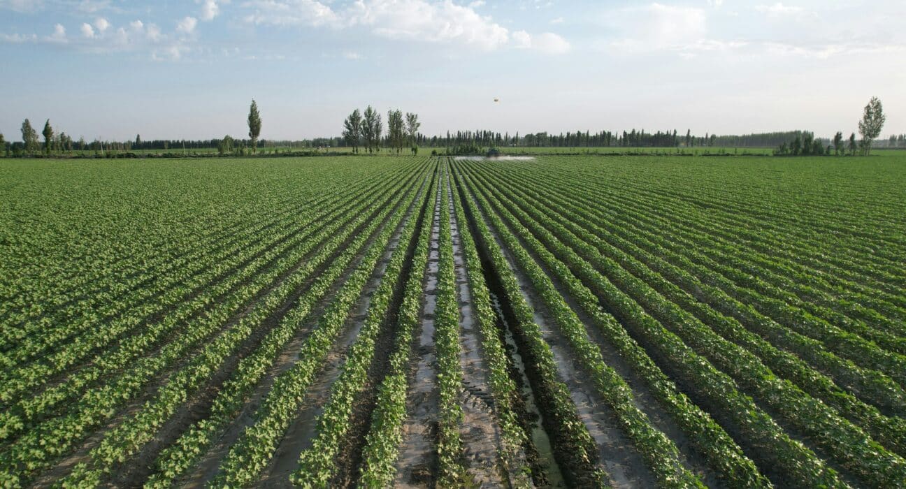 Explore crop protection innovations of 2025, focusing on durability and risk mitigation for pest and disease control.