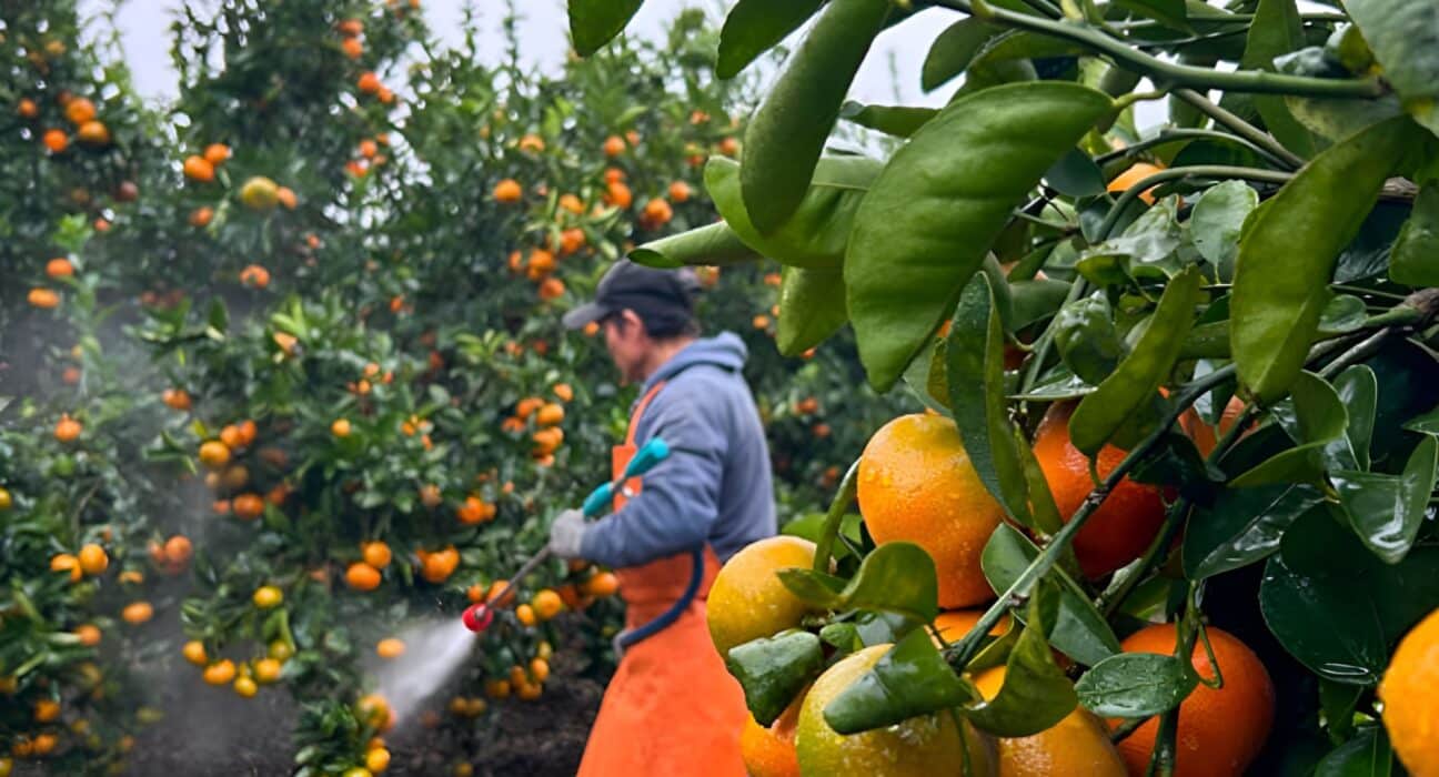 Bio Natural Solutions (BNS) has secured an investment from Mercy Corps Ventures to support its growth in biological crop protection.