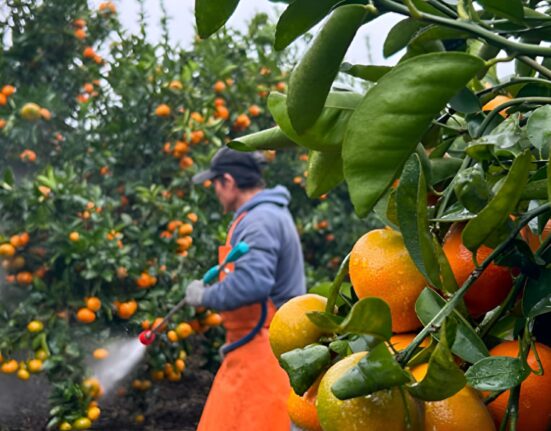 Bio Natural Solutions (BNS) has secured an investment from Mercy Corps Ventures to support its growth in biological crop protection.