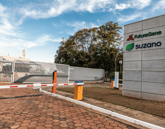 FuturaGene, the biotechnology subsidiary of Suzano, has received formal approval from Brazil’s National Biosafety Technical Commission (CTNBio) for a new gene-edited eucalyptus variety.