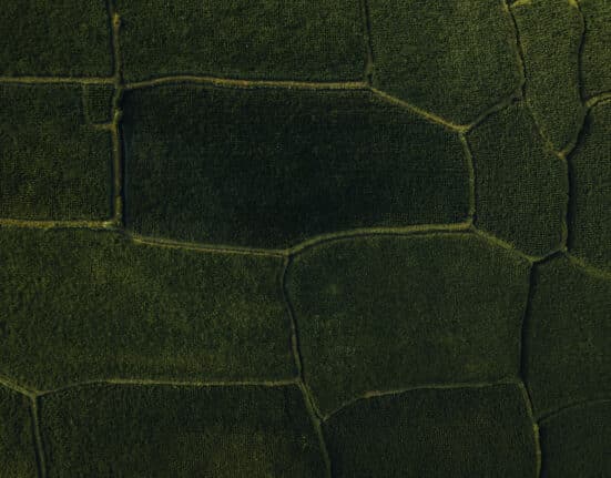 Aspia Space has entered into a strategic partnership with Stelia, an applied AI platform company, to enhance the architecture underpinning its Earth Observation-derived data products.