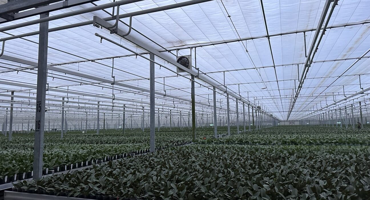 Smart monitoring and controls significantly reduce energy consumption. Learn how these technologies optimize agricultural practices.