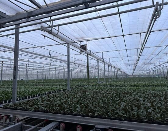 Smart monitoring and controls significantly reduce energy consumption. Learn how these technologies optimize agricultural practices.