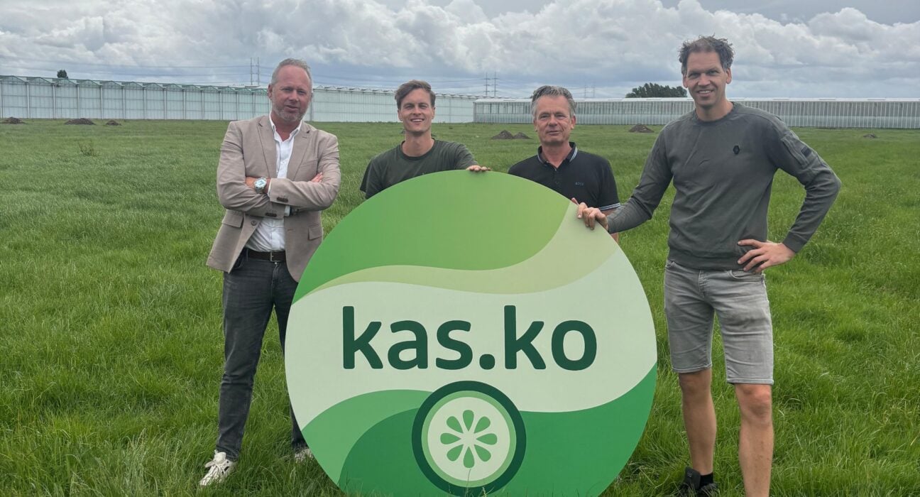 Dutch greenhouse construction company Dalsem is developing a new 2.5-hectare cucumber greenhouse facility for grower Kas.Ko in Den Hoorn, Netherlands.