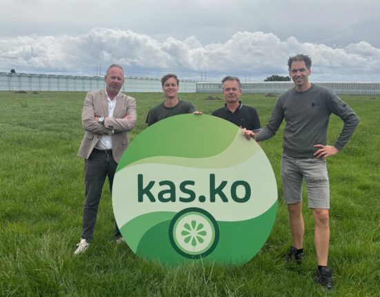 Dutch greenhouse construction company Dalsem is developing a new 2.5-hectare cucumber greenhouse facility for grower Kas.Ko in Den Hoorn, Netherlands.