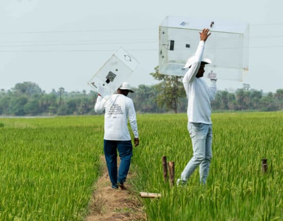 Cool Effect, a Bay Area nonprofit and carbon market leader, has partnered with Mitti Labs to offer the climate technology company's methane reduction carbon credits to Cool Effect's global network of corporate and individual buyers.