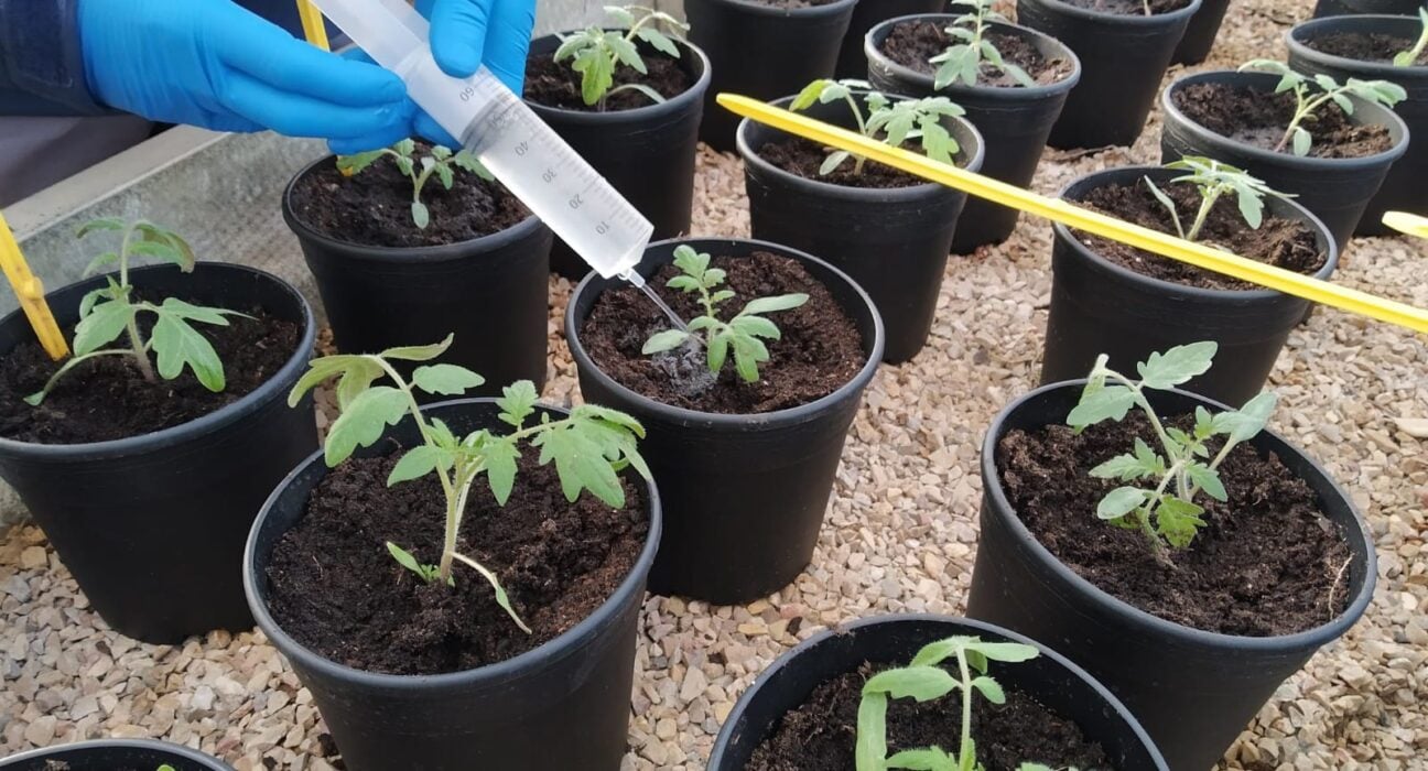 Understand the challenges and opportunities in Biological Crop Protection, driven by regulatory pressures and consumer expectations.Understand the challenges and opportunities in Biological Crop Protection, driven by regulatory pressures and consumer expectations.