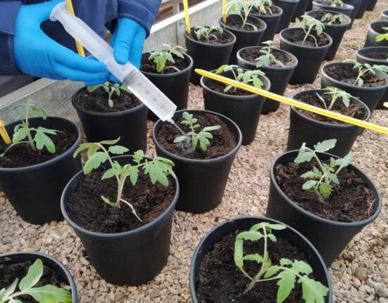 Understand the challenges and opportunities in Biological Crop Protection, driven by regulatory pressures and consumer expectations.Understand the challenges and opportunities in Biological Crop Protection, driven by regulatory pressures and consumer expectations.