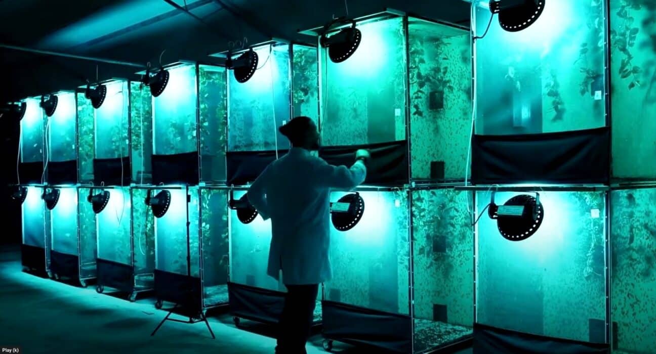 Discover how Haythem Riahi and Circa Biotech tackle food waste with sustainable practices, benefiting the environment and economy.