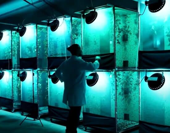 Discover how Haythem Riahi and Circa Biotech tackle food waste with sustainable practices, benefiting the environment and economy.