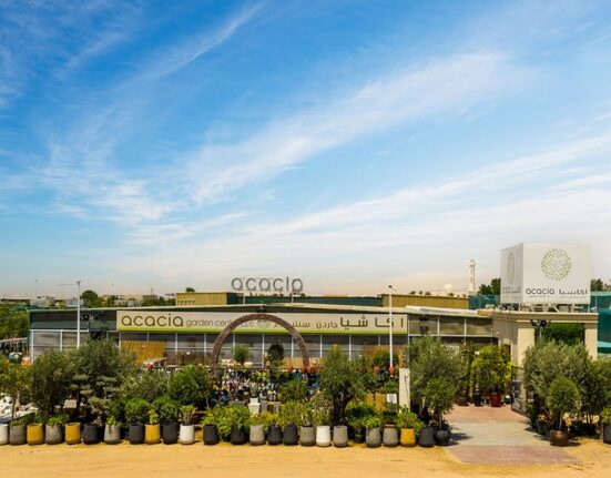 Tanseeq Investment Group has incorporated Acacia Nurseries in Riyadh, Kingdom of Saudi Arabia to supply mature trees.