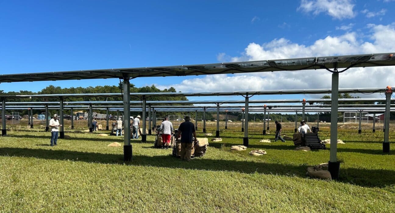 Distributed Energy Infrastructure (DEI) has joined the board of the Solar and Farming Association (SAFA) as a founding member.