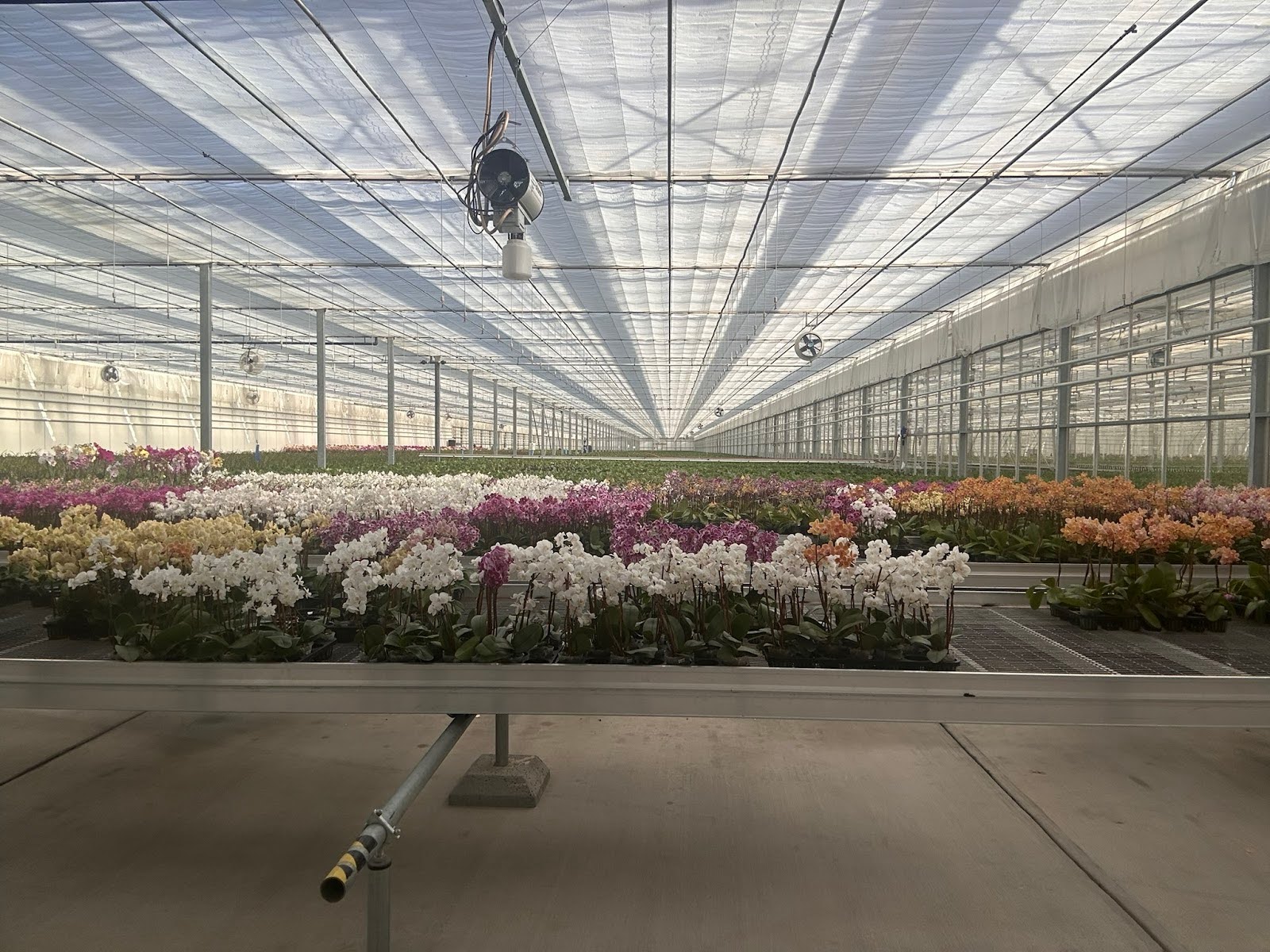 Field Demonstrations Across Climate Zones