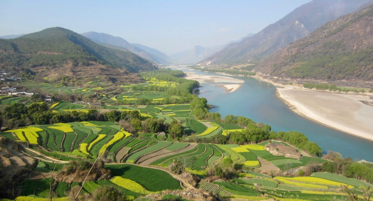 Nanjing Agricultural University (NAU), in partnership with the National Key Laboratory of Agricultural Biosafety and over 30 industry institutions, has launched Green Shield, described as China's first open-source large language model specifically built for crop protection.