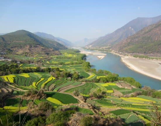 Nanjing Agricultural University (NAU), in partnership with the National Key Laboratory of Agricultural Biosafety and over 30 industry institutions, has launched Green Shield, described as China's first open-source large language model specifically built for crop protection.