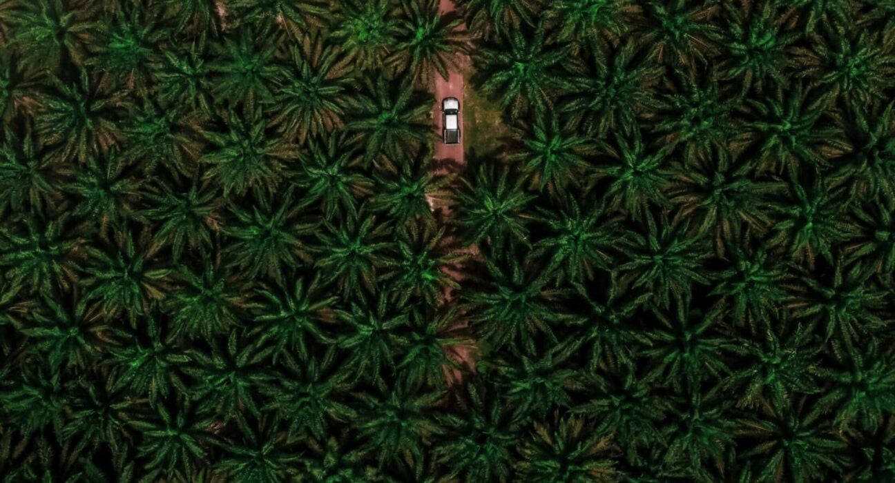 Malaysian palm oil supplies a significant share of global vegetable oil demand while using a relatively small portion of agricultural land.