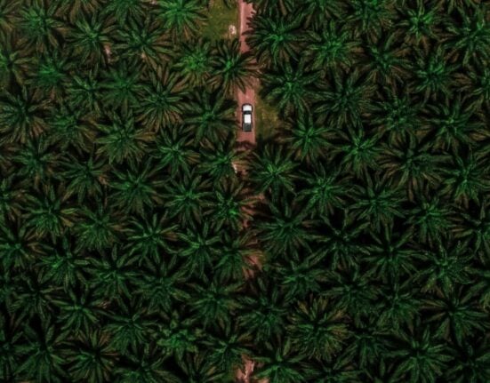 Malaysian palm oil supplies a significant share of global vegetable oil demand while using a relatively small portion of agricultural land.