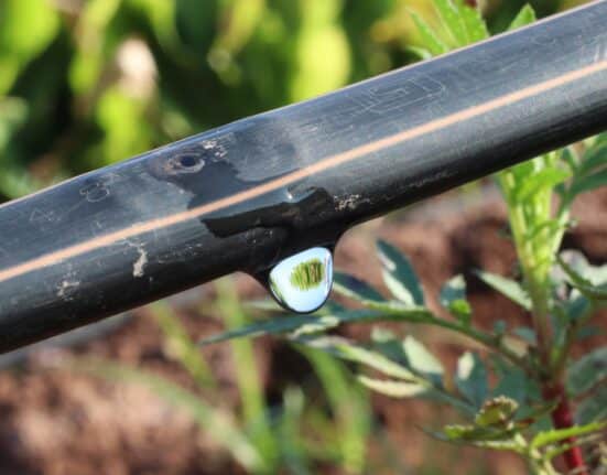 Orbia Advance Corporation’s Netafim, announced 2 water stewardship initiatives in collaboration with Amazon India.