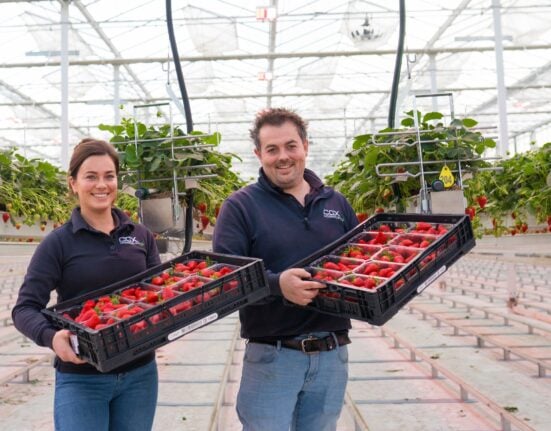 Cox Vastgoed B.V. will acquire a 5.2-hectare greenhouse facility from paprika grower Frank Bakker in Sevenum on December 1, 2026.