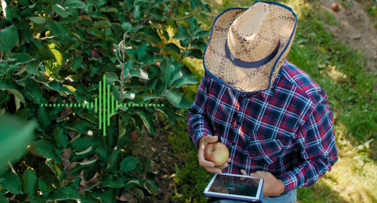 Discover how Steve Mantle is transforming agriculture with Harvest Replay, an operational intelligence platform for labor tracking.