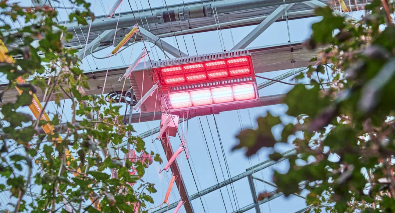 Signify (Euronext: LIGHT) has expanded its Philips GreenPower LED toplighting force range with two purpose-built products: toplighting force performance and toplighting force elite