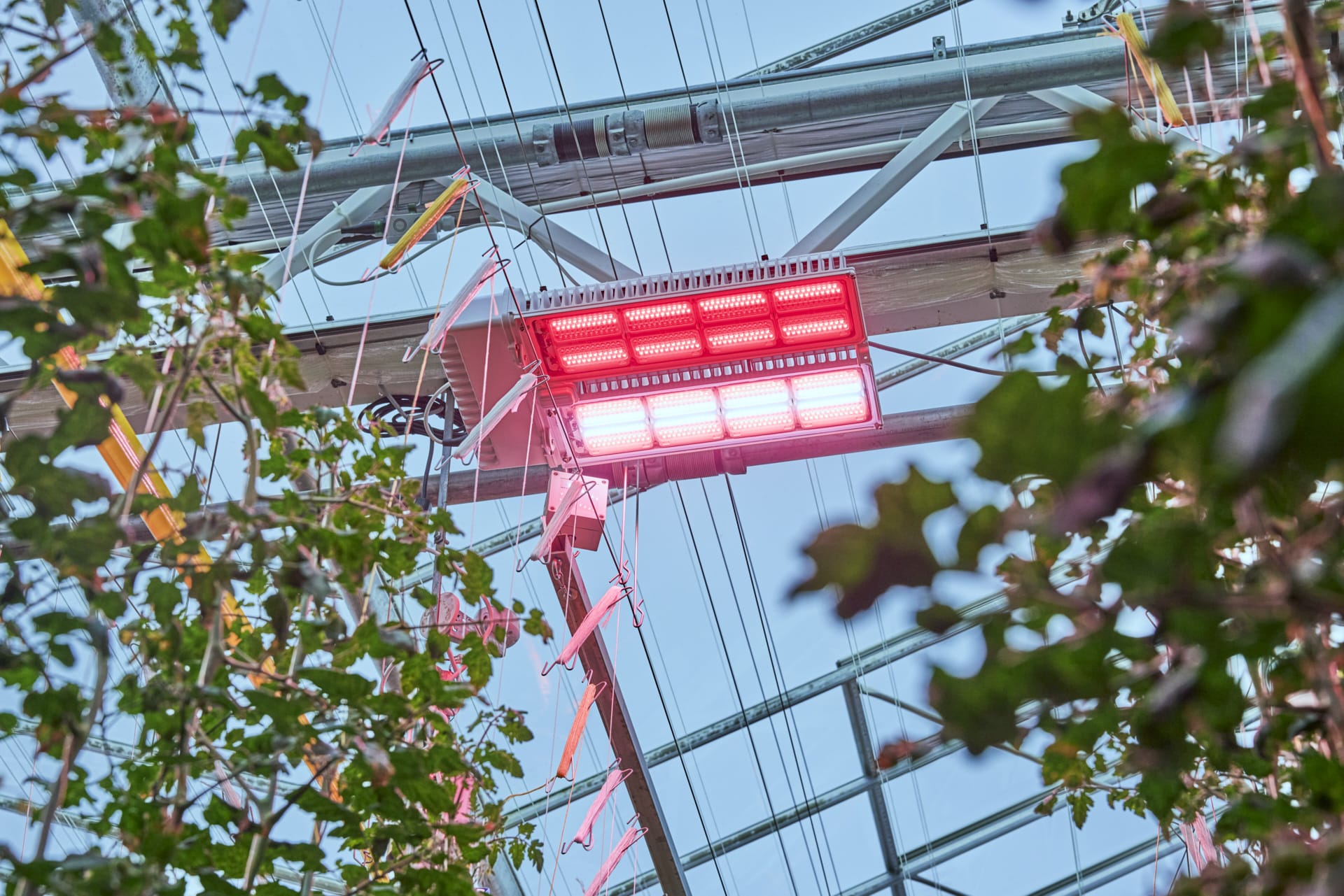 Signify Expands Philips GreenPower LED Toplighting Force Portfolio