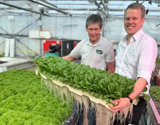 JEPCO is increasing glasshouse capacity to combat outdoor risks like climate change, pests, and soil contamination.