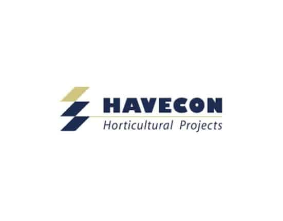 Havecon commenced construction on a large-scale greenhouse project spanning over 15 ha for The Valley in Vierpolders, Netherlands.