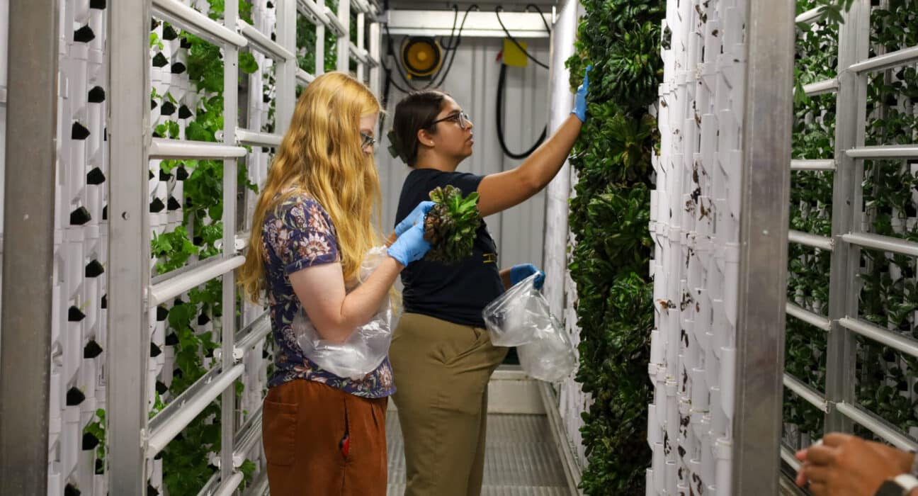 Discover how school farms using hydroponic systems enhance STEM education and real-world agricultural skills.