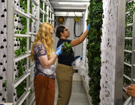Discover how school farms using hydroponic systems enhance STEM education and real-world agricultural skills.