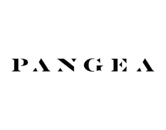 Pangea launched four new sustainable leather products that upcycle discarded agricultural waste from Mexico.