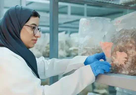 The UAE University launched the Smart Mushroom House at Al Foah Research Farm in Al Ain, a facility focused on sustainable cultivation.