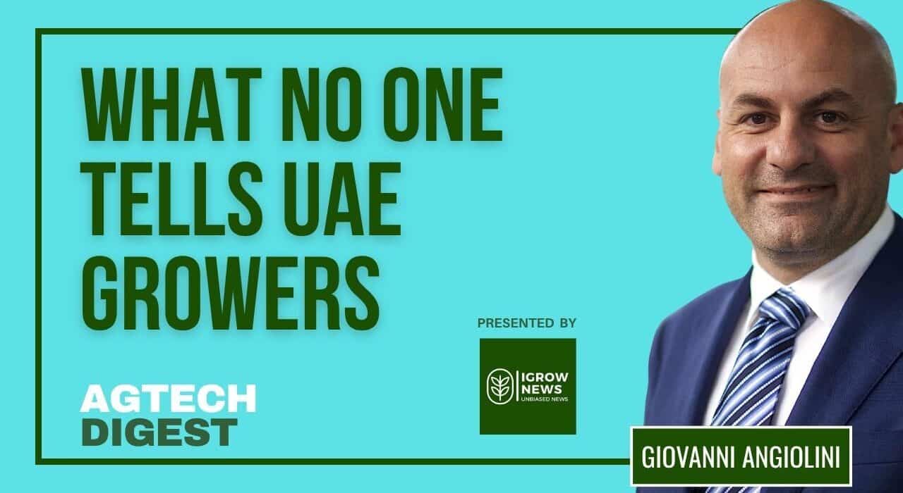 Recent regional disruptions have again highlighted the Gulf's dependence on food imports, echoing vulnerabilities first identified during the COVID-19 pandemic
