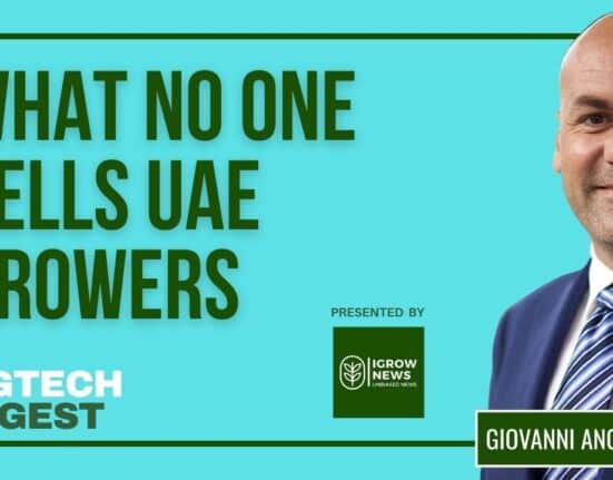 Recent regional disruptions have again highlighted the Gulf's dependence on food imports, echoing vulnerabilities first identified during the COVID-19 pandemic