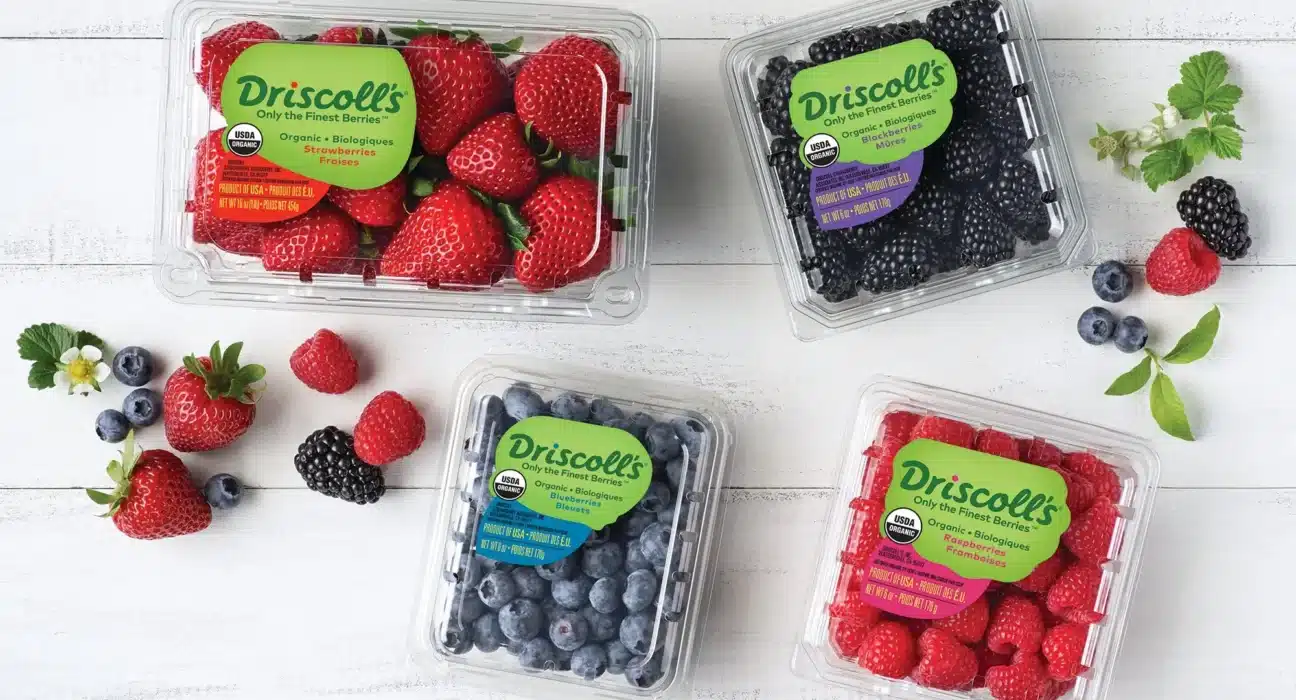 Driscoll's hires former U.S. chief agricultural negotiator Darci Vetter as VP of Public Affairs to lead global governmental affairs strategy.