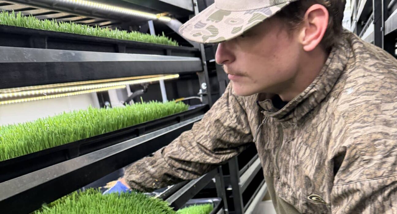 Explore the impact of Entrepreneurship programs using container farms to enhance education and career readiness.