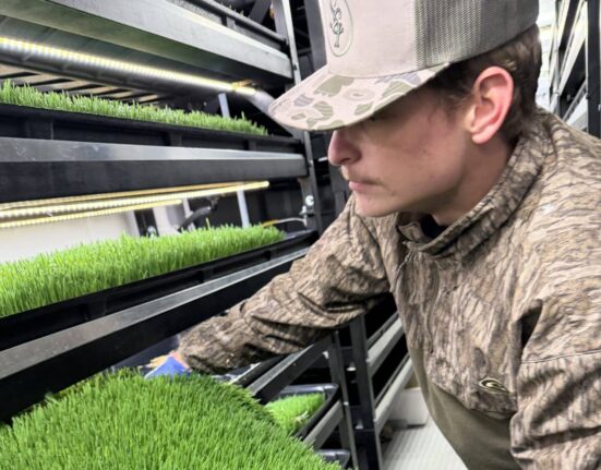 Explore the impact of Entrepreneurship programs using container farms to enhance education and career readiness.