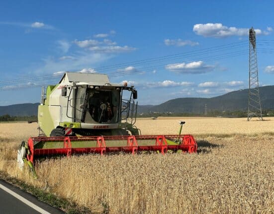 Blake Croegaert of Verdant Partners on the M&A reset: why valuations corrected, what makes a company acquirable today, and the 2026 outlook.