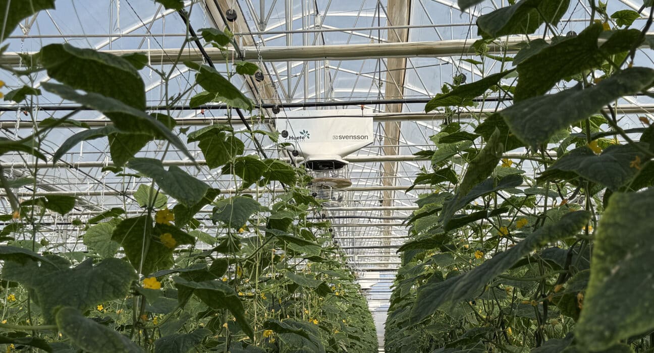 J. Huete Greenhouses completed a 3.2-ha high-tech greenhouse in Almería, one of Europe's most important horticultural production regions.
